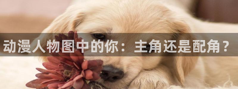 奇漫屋漫画完整版：动漫人物图中的你：主角还是配角？配图