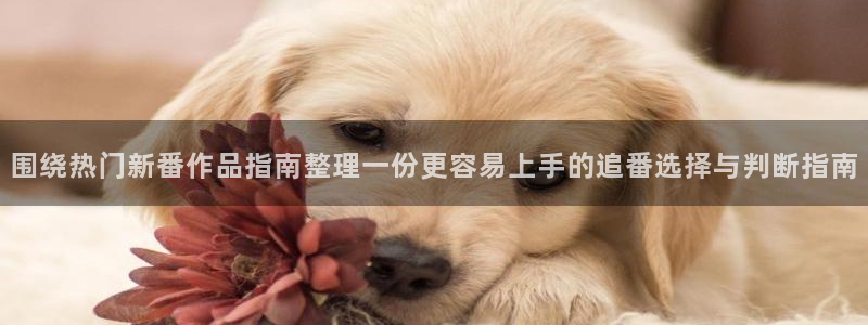奇漫屋漫画完结排行榜:围绕热门新番作品指南整理一份更容易上手的追番选择与判断指南配图