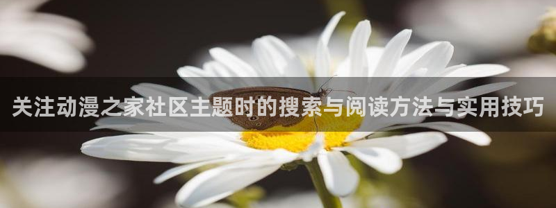 奇漫屋最新章节：关注动漫之家社区主题时的搜索与阅读方法与实用技巧配图